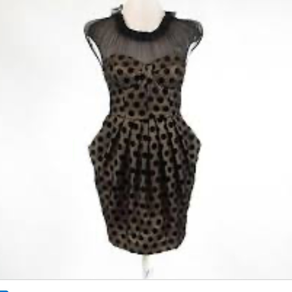 Designer Boutique black beige polka dot dress